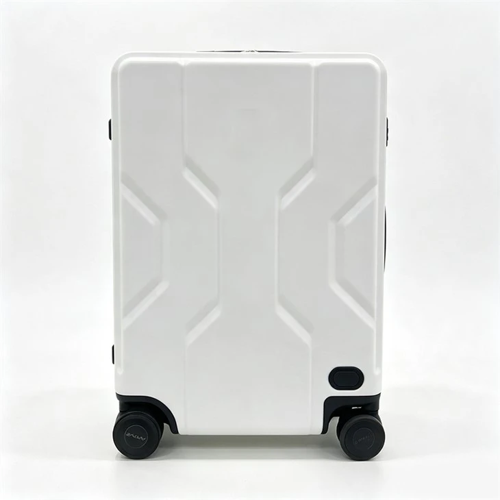 Ride Along Luggage