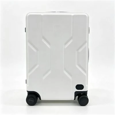 Ride Along Luggage
